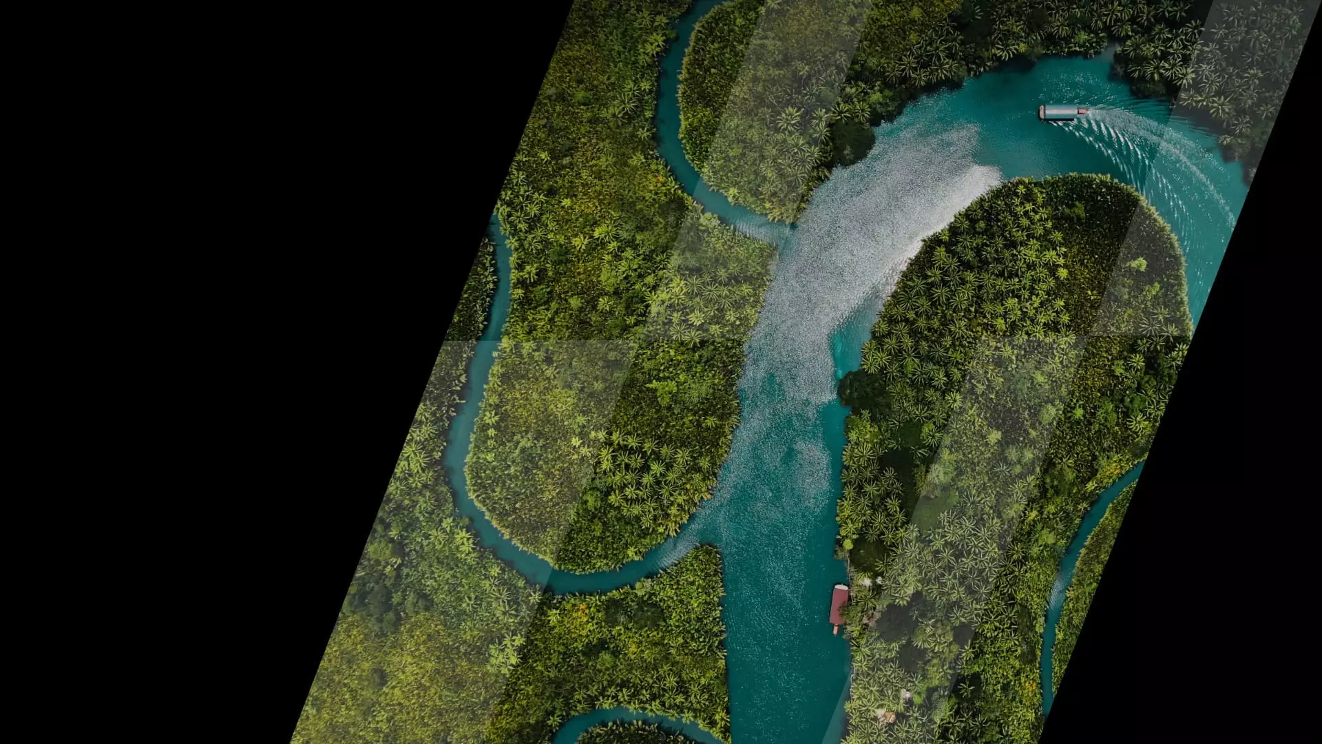 Vom actualiza Bitrix VM, PHP, CURL și multe altele