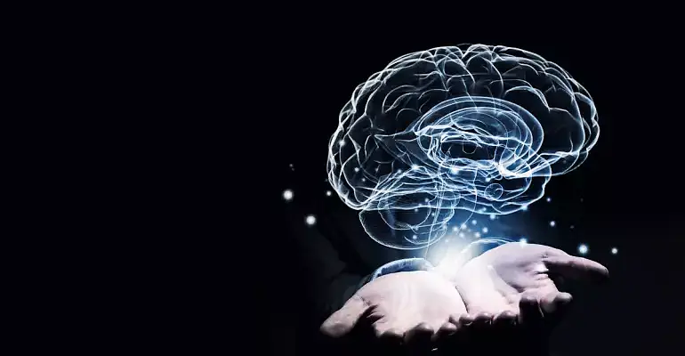 lerua-merlen-sozdanie-i-soprovozhdenie-marketpleys